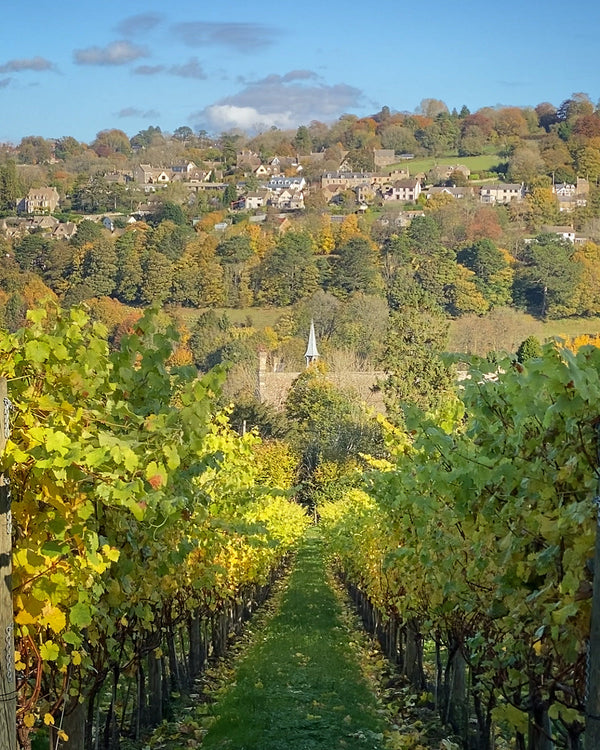 Autumn & Winter Breaks in the Cotswolds: Stay at a Cotswold Vineyard