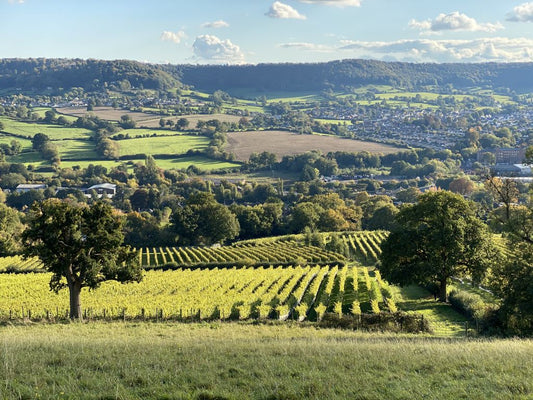 Harvest Debrief