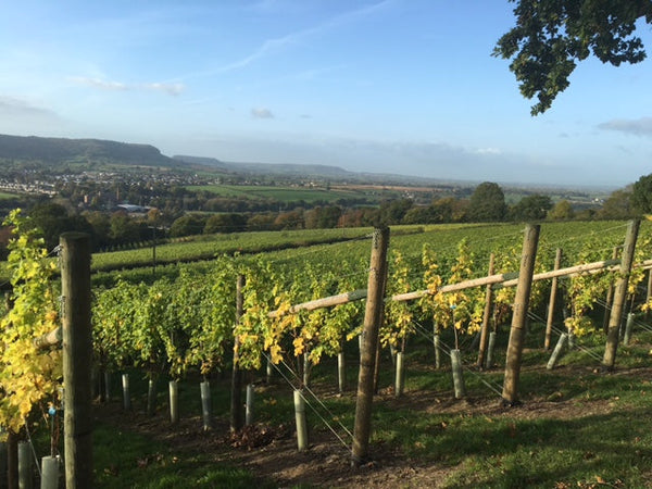 Escape to the Cotswolds: A Vineyard Stay for Two