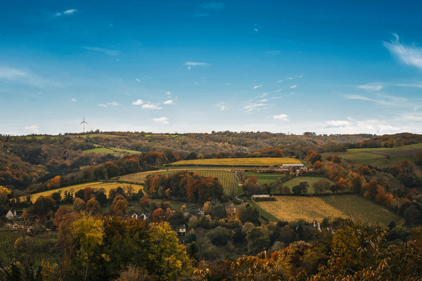 The Cotswolds, at Vineyard Pace