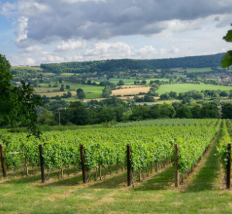 Explore our seasonal offers