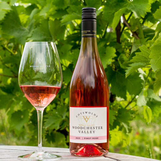 Pinot Rosé 2025