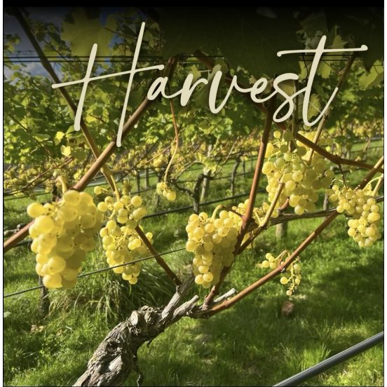 Harvest Trio 
