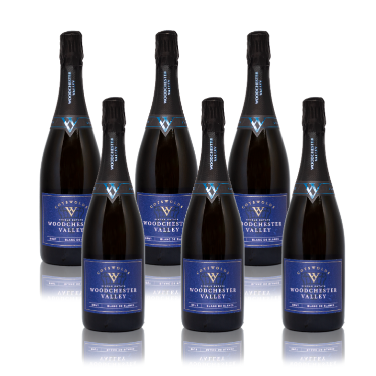 Case 6x Blanc de Blancs