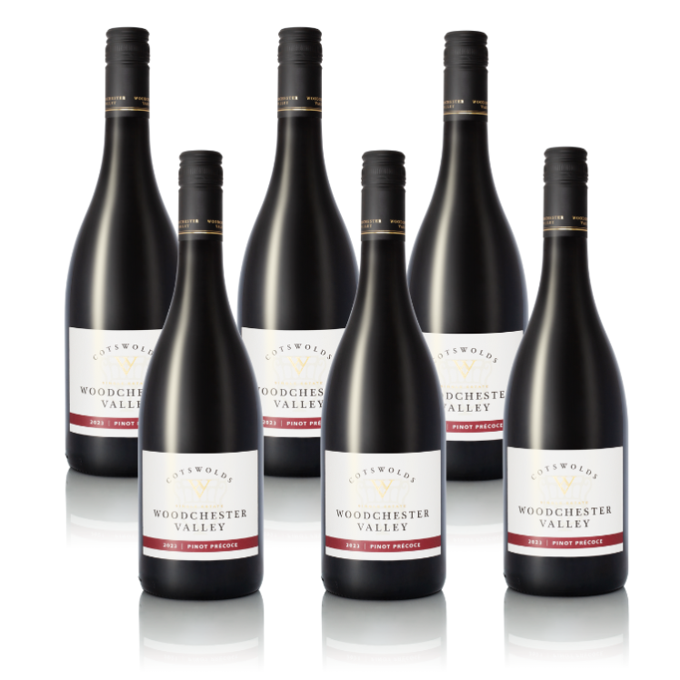 Case 6x Pinot Précoce 