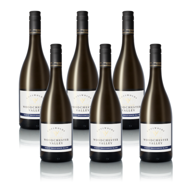 Case 6x Sauvignon Blanc Case 6x Sauvignon Blanc