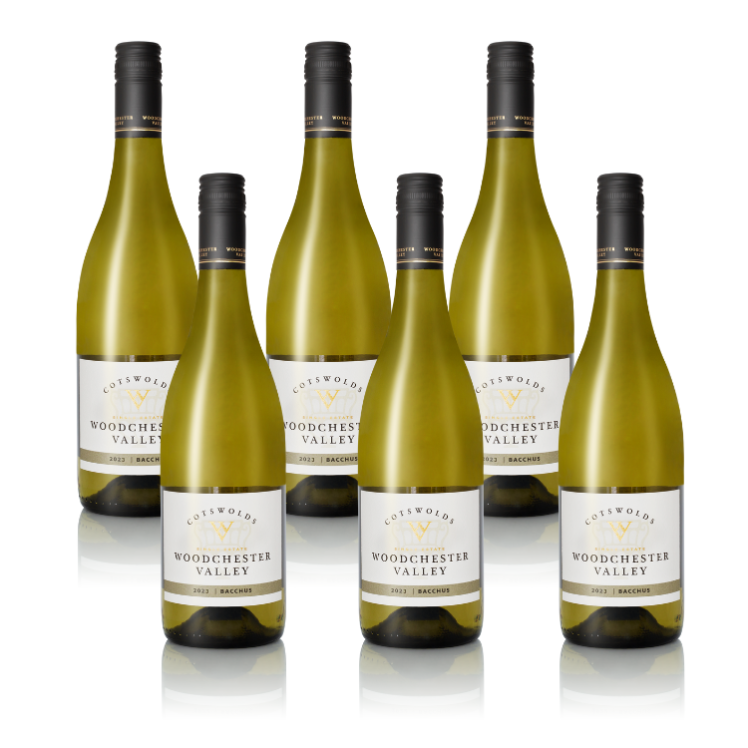 Case offer 6 x Bacchus