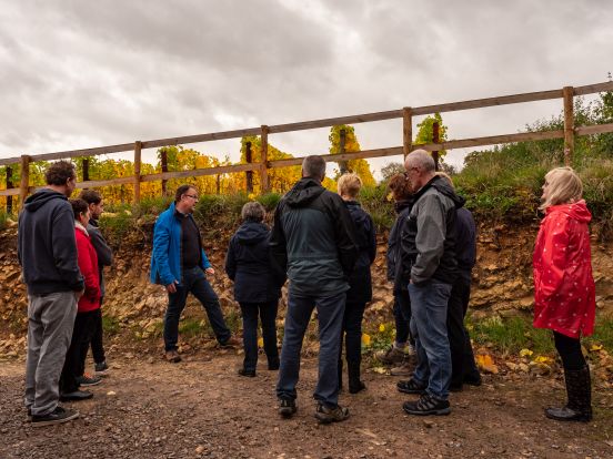 A Taster of our Vineyard Tours