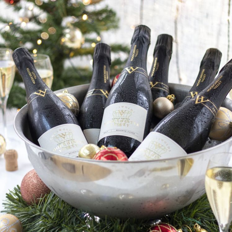 Christmas Party Case Christmas Party Case