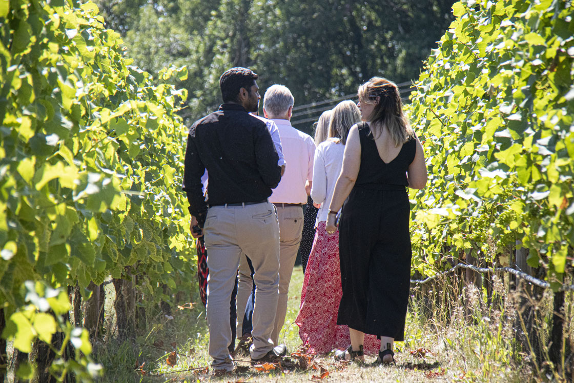 Beyond the House: Creating a Vineyard Stay to Remember