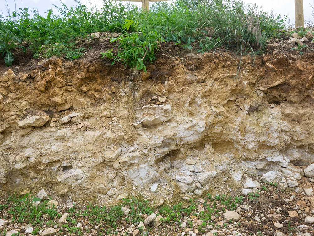 Cotswold brash soils of Woodchester Valley vineyards